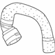 Audi 8W0-819-332-E Hose