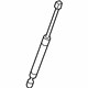 Audi 8K5-827-919-AA Lift Cylinder