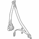 Audi 4N0-857-705-A-KPZ Lap & Shoulder Belt