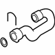 Audi 4E0-121-055-AF Lower Hose