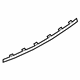 Audi 4N0-853-551-2ZZ Center Molding