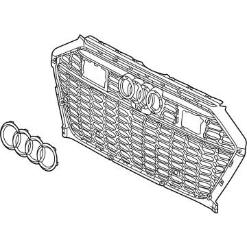 Audi RS6 Avant Grille - 4K8-853-651-F-T94