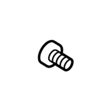 Audi SQ8 e-tron Door Screws - N-105-496-03