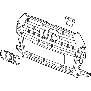 Audi Q3 Grille - 8U0-853-651-AA-T94