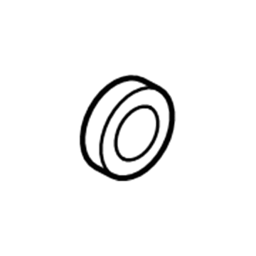 Audi 0B6-311-235-A Differential Bearing