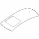 Audi 8W5-817-017-A Roof Panel