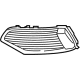 Audi 4K0-807-647-D-T94 Outer Grille Audi 4K0-807-647-D-T94 Outer Grille