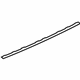 Audi 8S0-807-791-AP6 Molding