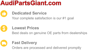 Choose AudiPartsGiant for dedicated service, low prices, and fast delivery.